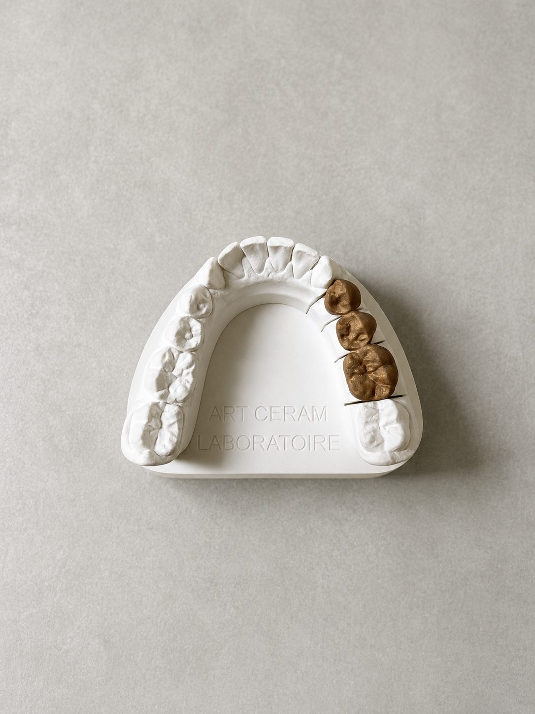 Modèle gravé Art Ceram Laboratoire avec molaires sculptées en bois